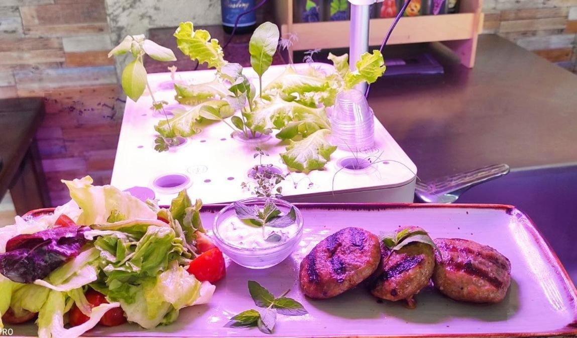 Romana Aparthotel Topola